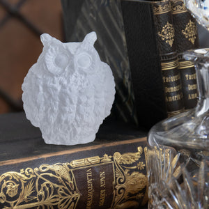 25307_Bagoly kicsi-346557 copy.jpg