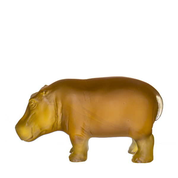 【Hippo】 42781_5995747917771_4e6c7553-