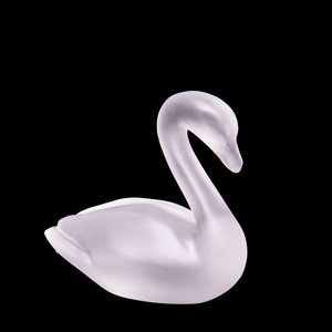 Cisne