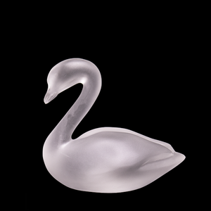 Swan