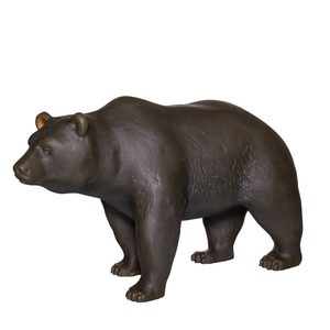 Braunbär