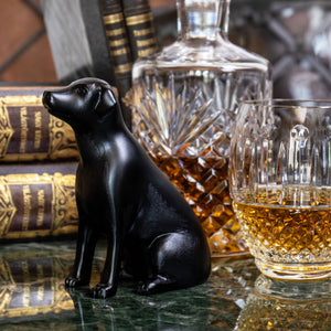 65563_Labrador fekete-89862? copy.jpg