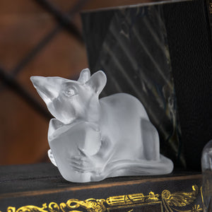 66748_Patkány-99881 copy.jpg