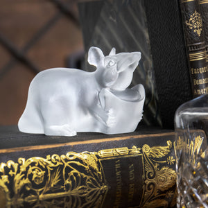 66748_Patkány copy.jpg