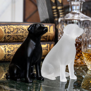 85615_Labrador pair 898629:91785.png copy.jpg