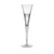 Waterford Ballet Blossom Champagne Flute
